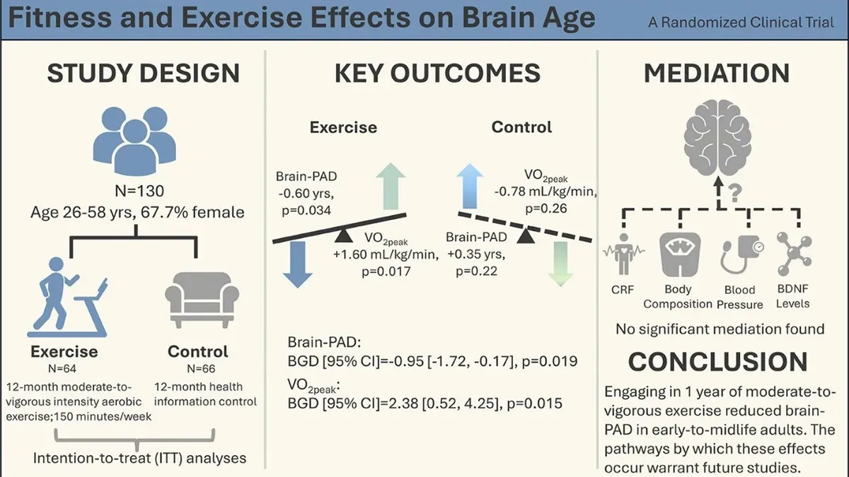 Aerobic exercise and brain health study