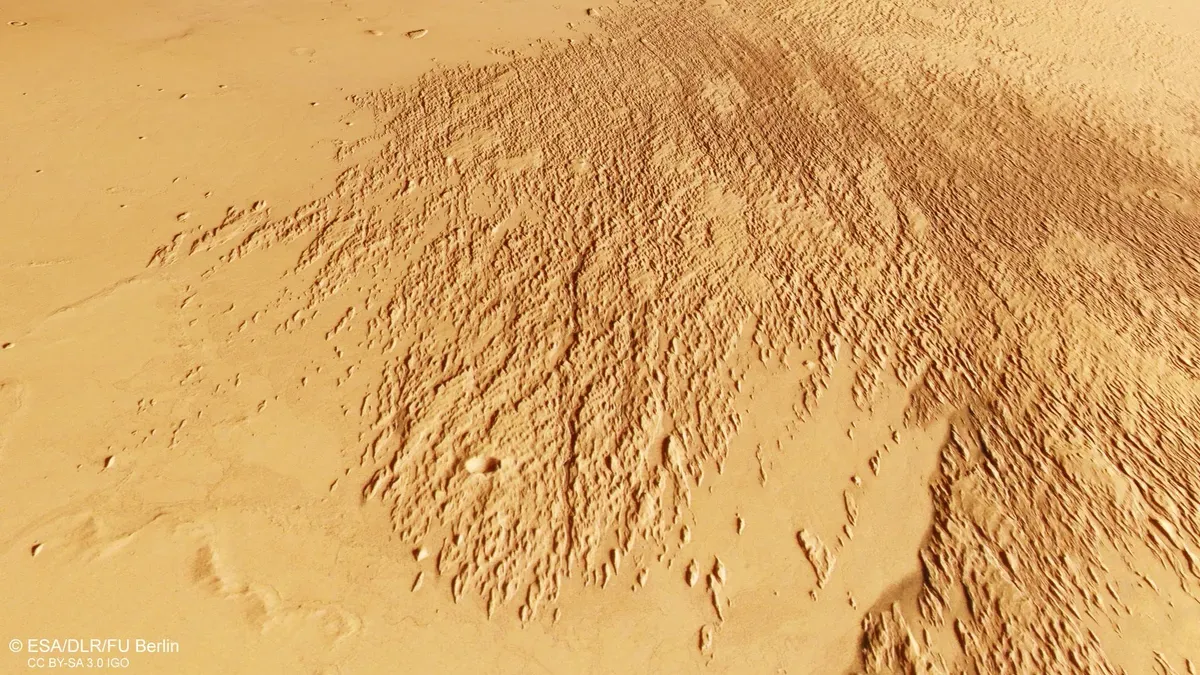 ESA's Mars Express orbiter image of wind-eroded yardangs in the Medusae Fossae Formation, showing ridges aligned with prevailing wind direction.
