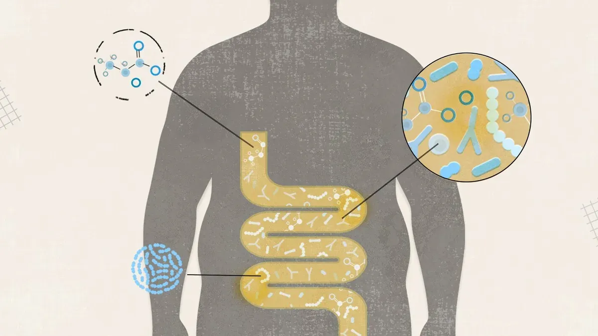 Gut microbiome and intermittent fasting study