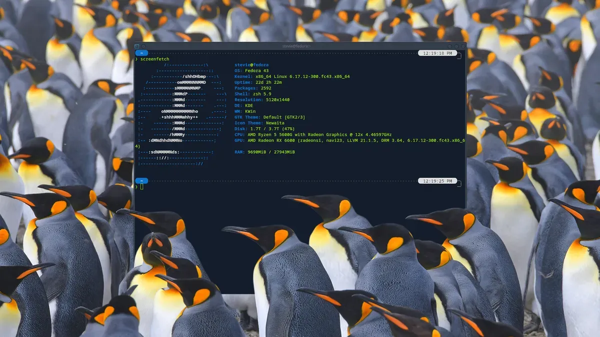 A screenshot of a Linux desktop with KDE Plasma, showcasing a custom theme and terminal window open.