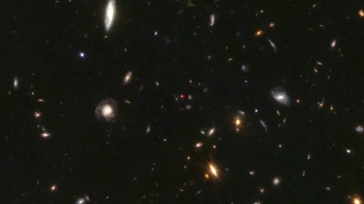 Young Black Holes in Gas Cocoons Identified in James Webb Images